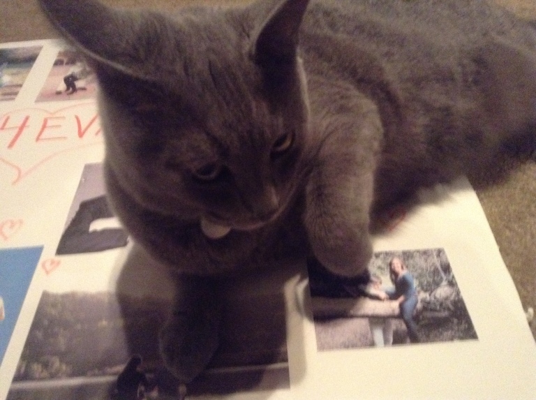 My cat "helping" with my Valentine poster.